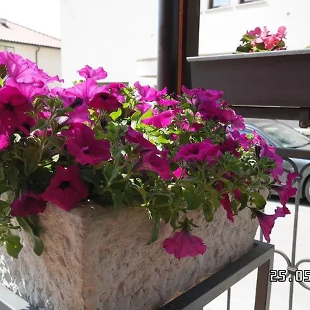 Ferienwohnung In Mit Garten Und Terrasse Und Meerblick *