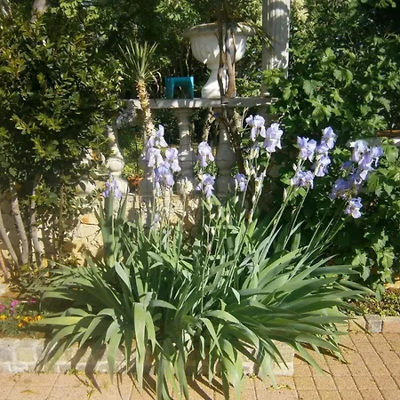 דירה Ferienwohnung In Mit Garten Und Terrasse Und Meerblick נובי ווינודולסקי